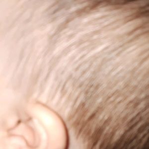 Meet your Posher, Janet